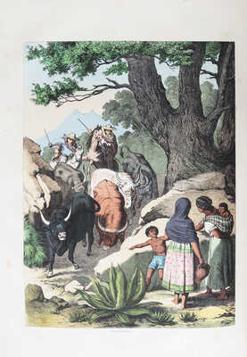 Вокруг света: Журнал землеведения, естественных наук, новейших открытий, изобретений и наблюдений. Год шестой, 1866.